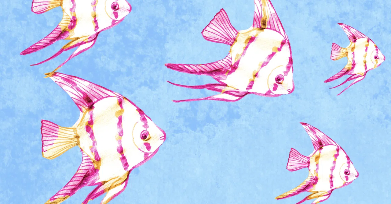 I Can't Fillet Fish, But｜らむねパパ