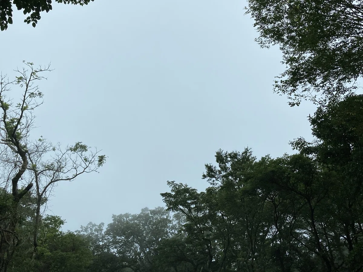 画像9