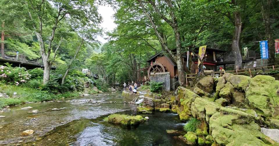 旅先で手軽に渓流釣り 岩泉町清水川でヤマメ 石巻days 未来都市の生き方 Note