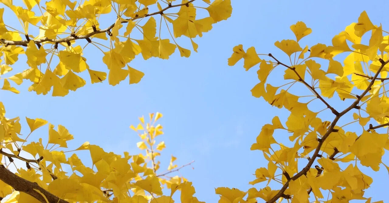 Seven years ago in autumn, I hated the spots in my photos. UV and ...