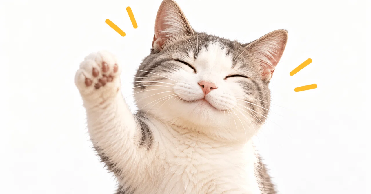 How to Improve Your Communication Skills Super Easily - Revised｜せりざわ ...