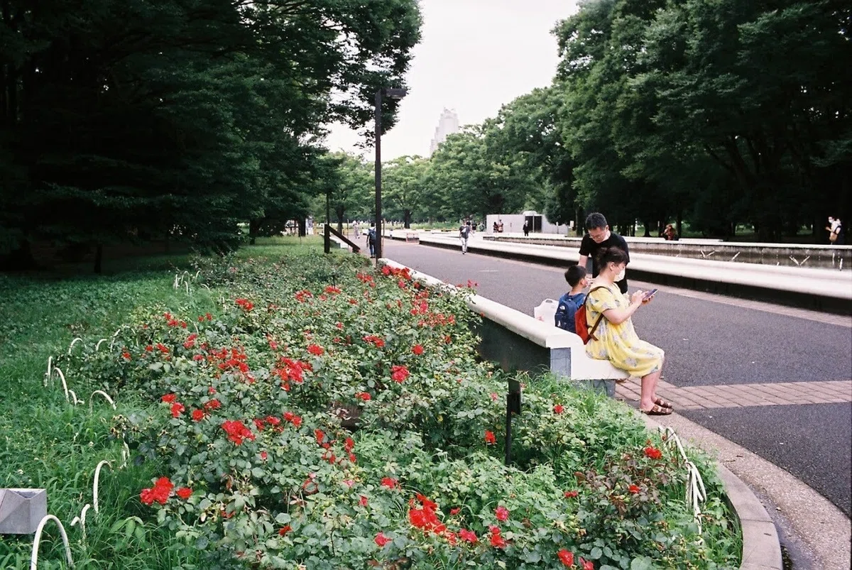 画像3