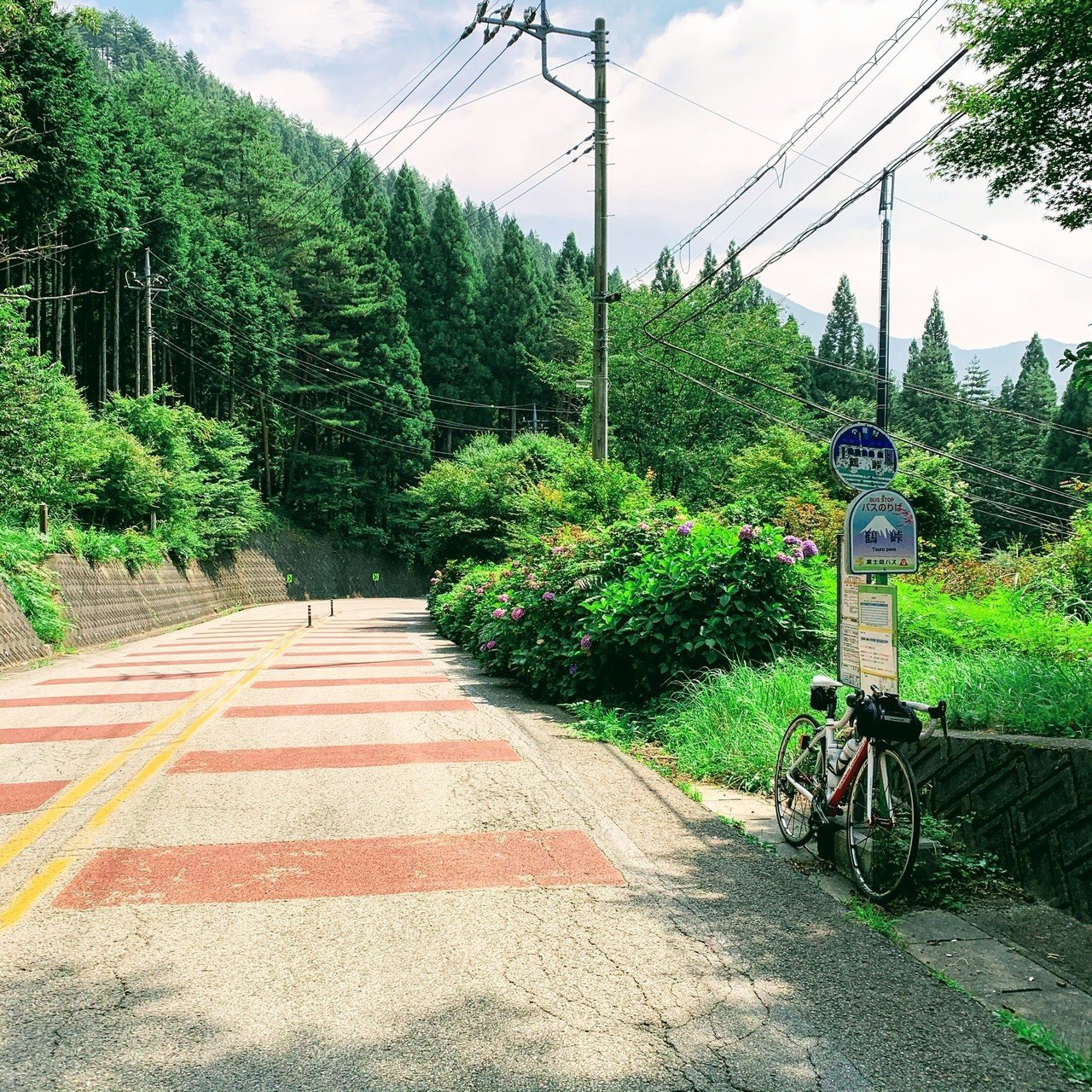 涼を求めて峠巡り 大垂水峠 鶴峠 松姫峠 今川峠でお腹いっぱい Ganseki Sakamichi Note 涼を求めて峠巡り 大垂水峠 鶴峠 松姫峠 今川峠でお腹いっぱい Ganseki Sakamichi Note