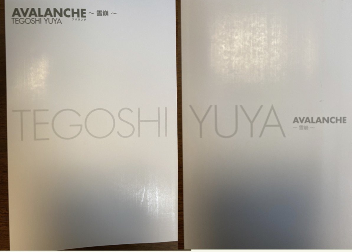 読書感想文「AVALANCHE（アバランチ） 〜雪崩〜」｜全田十五