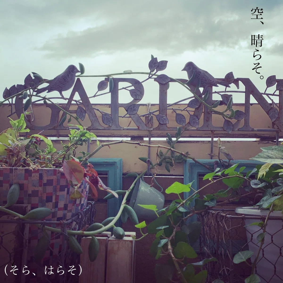 画像9