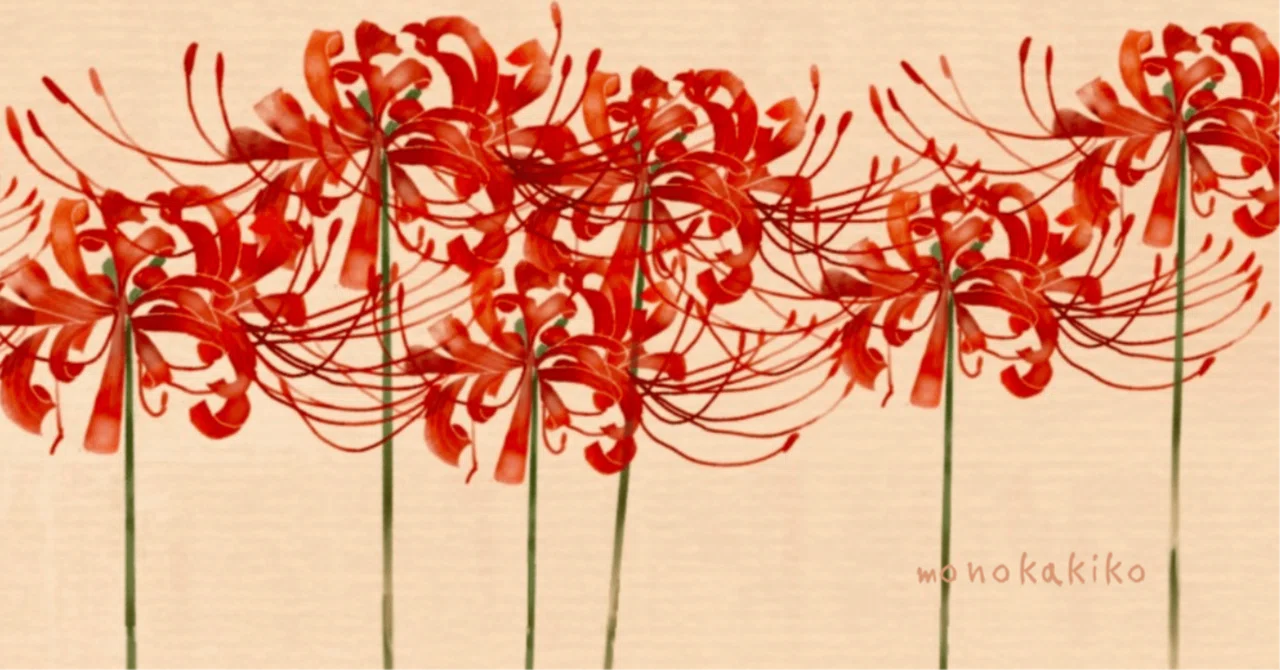 Spider Lily｜如月 小春