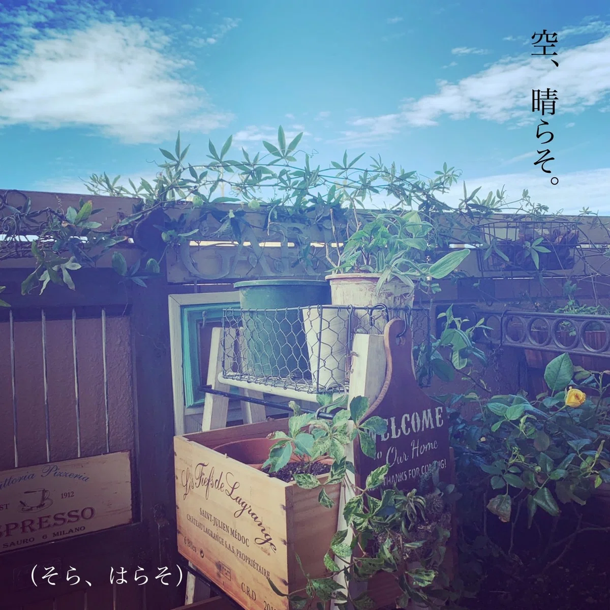 画像10