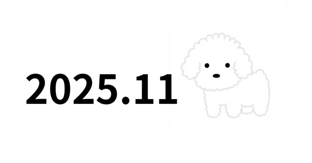 #Essay: My Mind in November 2025｜ながいしちなつ