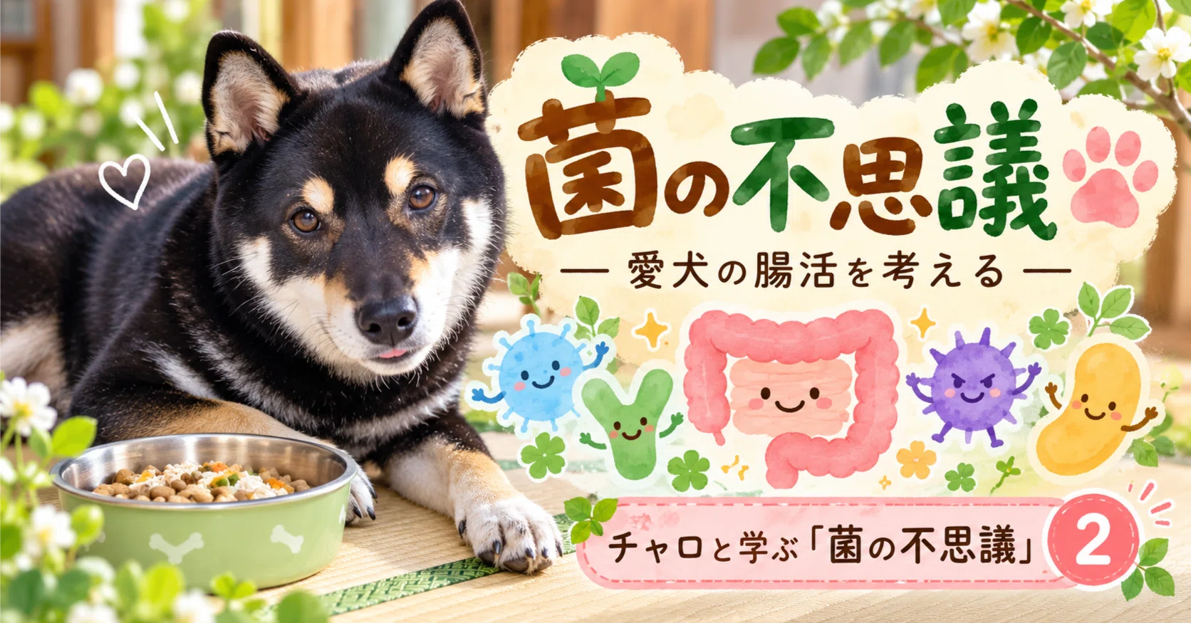 Atopic Black Shiba | The Mystery of Bacteria Part 2: Good Bacteria, Bad ...