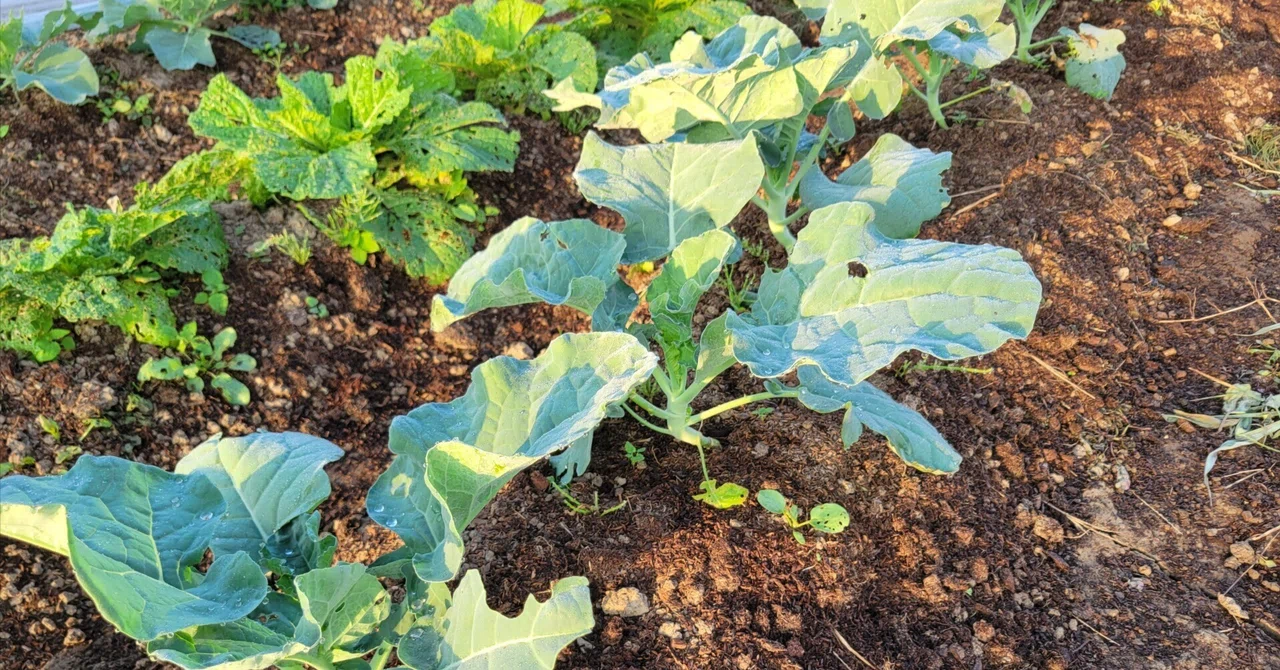 In October, Field Corrections and Bed Reconstruction 'Change How ...
