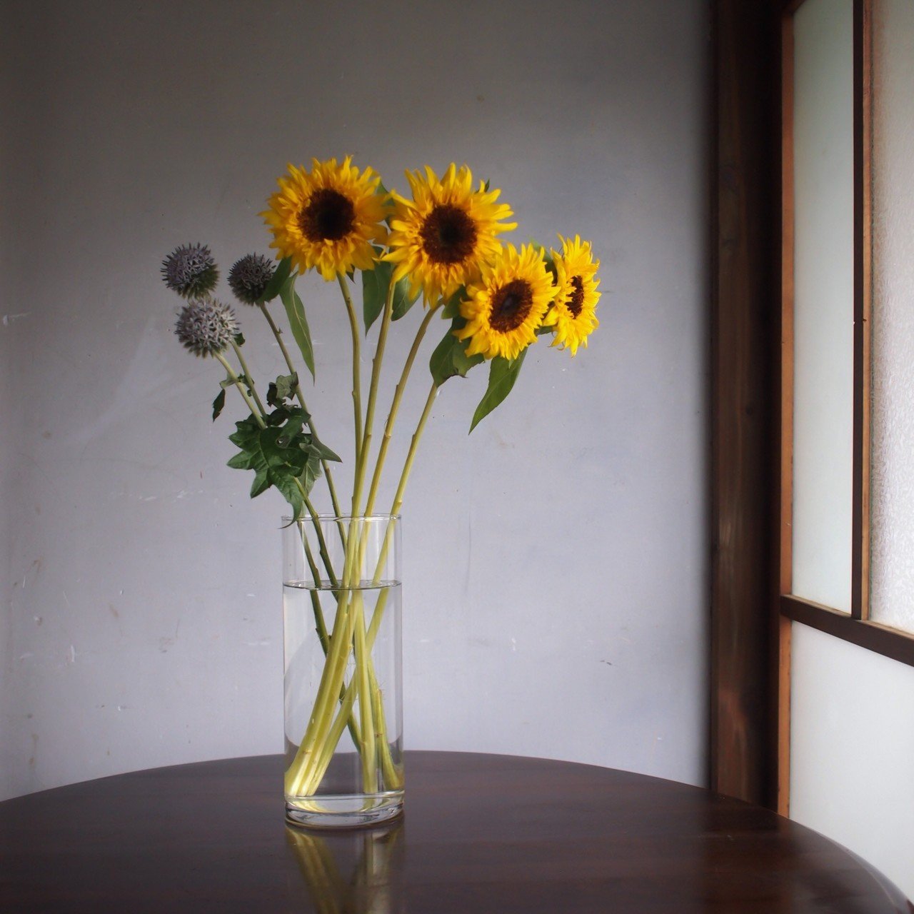 夏の花 花の歳時記 Hanaike はないけ Note