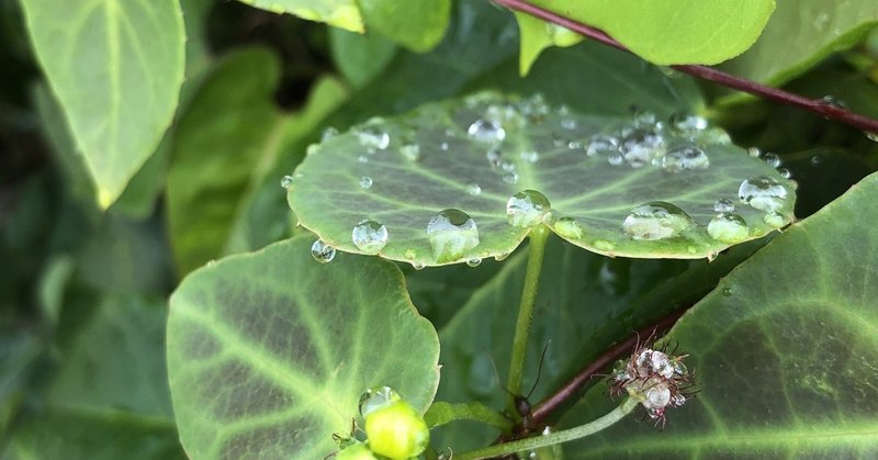 鬼滅の刃の正義論 ここまで流行った理由を考えてみた しん note