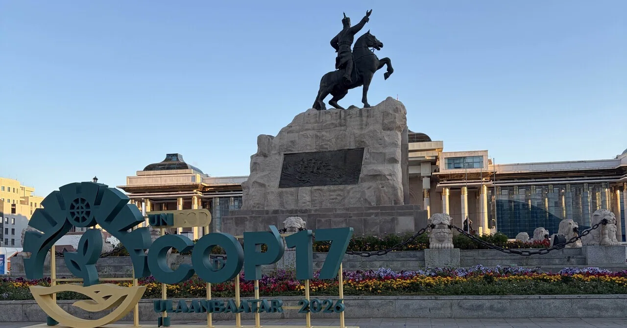 モンゴル🇲🇳旅行記（便利旅行ガイド・Tips付・3泊4日のモデルプランに