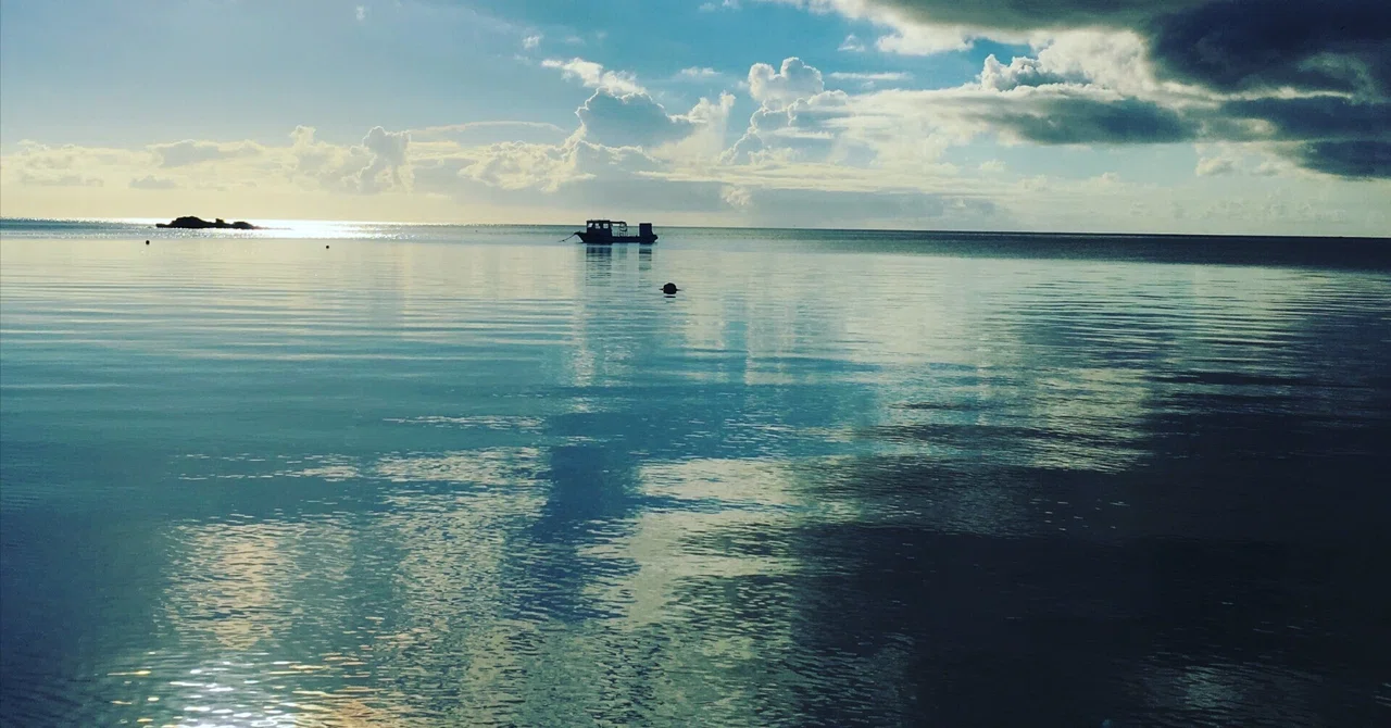 Intelligence is Dissolved in Water Part 3: Sacral Breathing—Before That ...