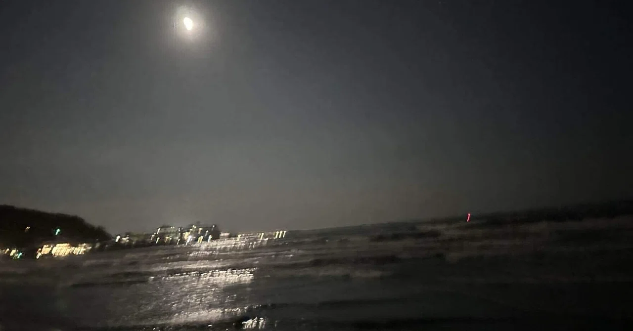 海はすべてを見ている｜オルカのひとりごと