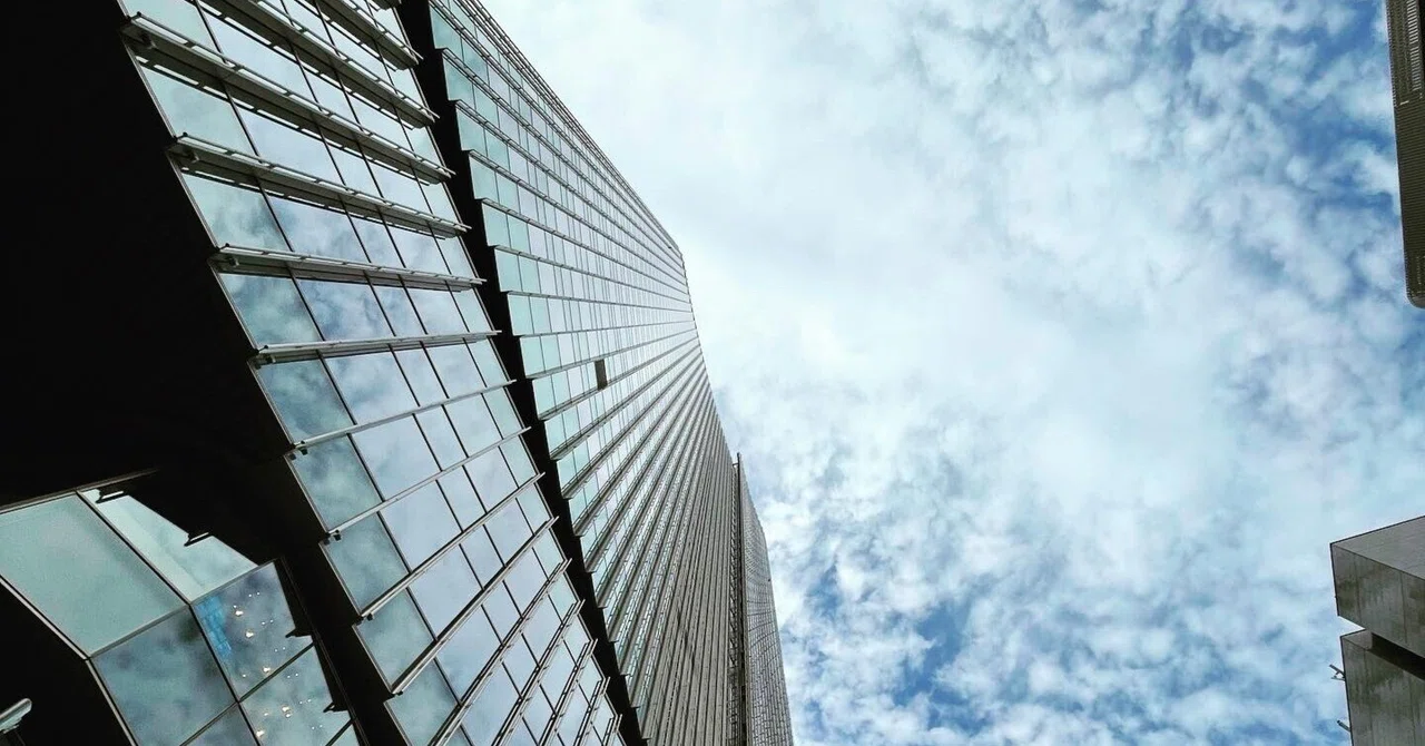 An Invitation to Become a Management Consultant in the Unknown Risk ...