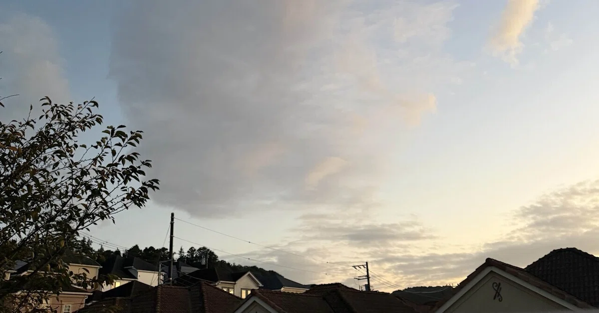 [Diary] Sunset Time Snacks｜T庵