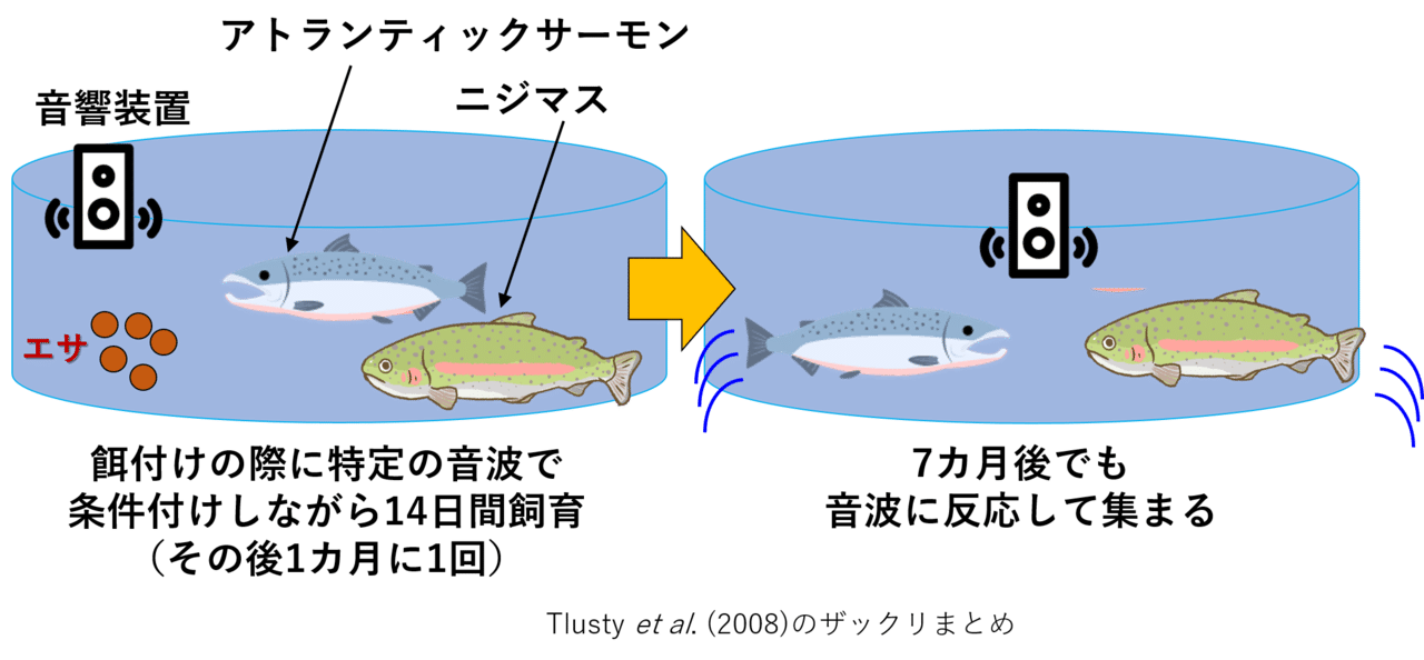 パブロフのニジマス Nipon Hitode Note