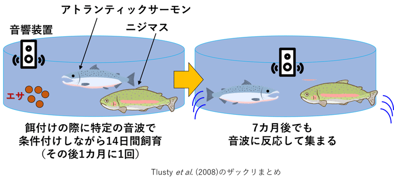 パブロフのニジマス Nipon Hitode Note