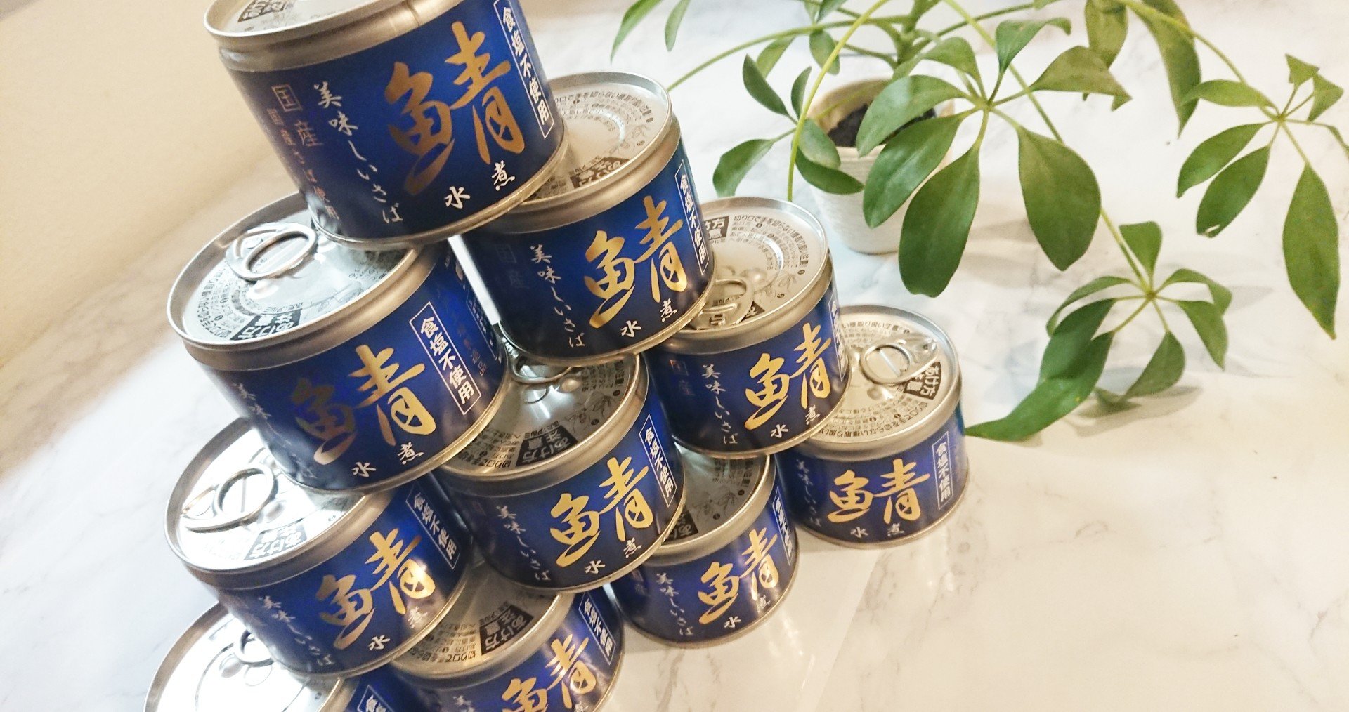 食 自分の子供に食べさせたい という想いから開発された 最強のサバ缶 大人も子供も離乳食期の赤ちゃんも楽しめるよ ちゃろ Note 食 自分の子供に食べさせたい という想いから開発された 最強のサバ缶 大人も子供も離乳食期の赤ちゃんも楽しめるよ ちゃろ Note