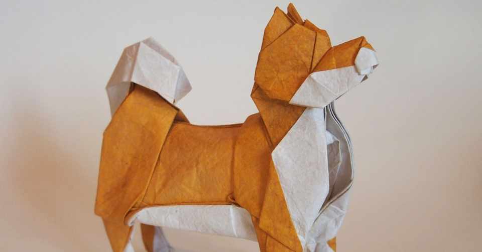 創作 展開図 柴犬 ２０２０ 一匹柴犬 Note