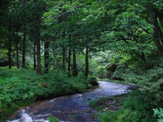 1 Fゆらぎ 疲れている時の自分の癒し 方 心地良さを感じ身体のリズムが整う 焚き火 波の音 小川のせせらぎ Kei パーソナルコーチ ボイストレーナー Note 1 Fゆらぎ 疲れている時の自分の癒し 方 心地良さを感じ身体のリズムが整う 焚き火 波の音 小川のせせらぎ Kei パーソナルコーチ ボイストレーナー Note
