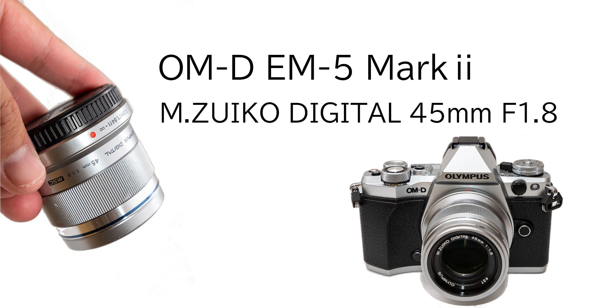 OLYMPUS-45mmF1.8単焦点レンズ【作例】｜すけさん