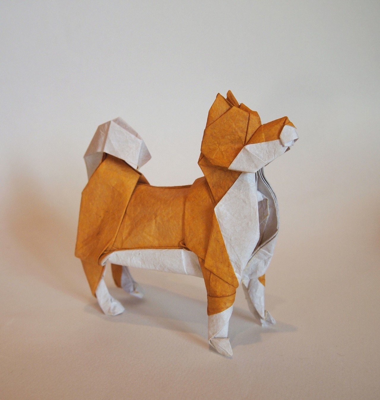 ベスト 折り紙 柴犬 折り方 無料の折り紙画像