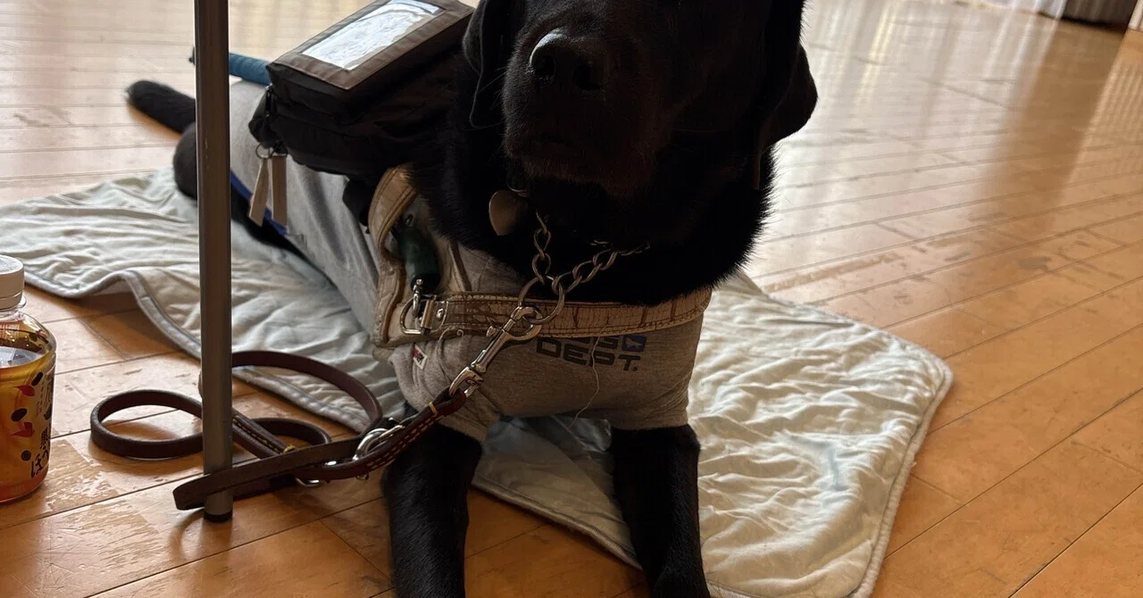 Kaorin learns Frailty Exercises! A Tuesday spent thinking about health ...