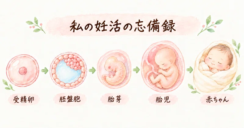 32歳で通院を始めた私が、第三子の妊活で思うこと のヘッダー画像