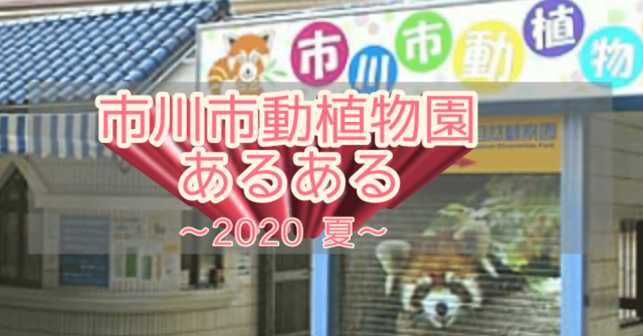 市川市動植物園の夏のあるある言いたい そりづめ らん 市川市沼 Note 市川市動植物園の夏のあるある言いたい そりづめ らん 市川市沼 Note