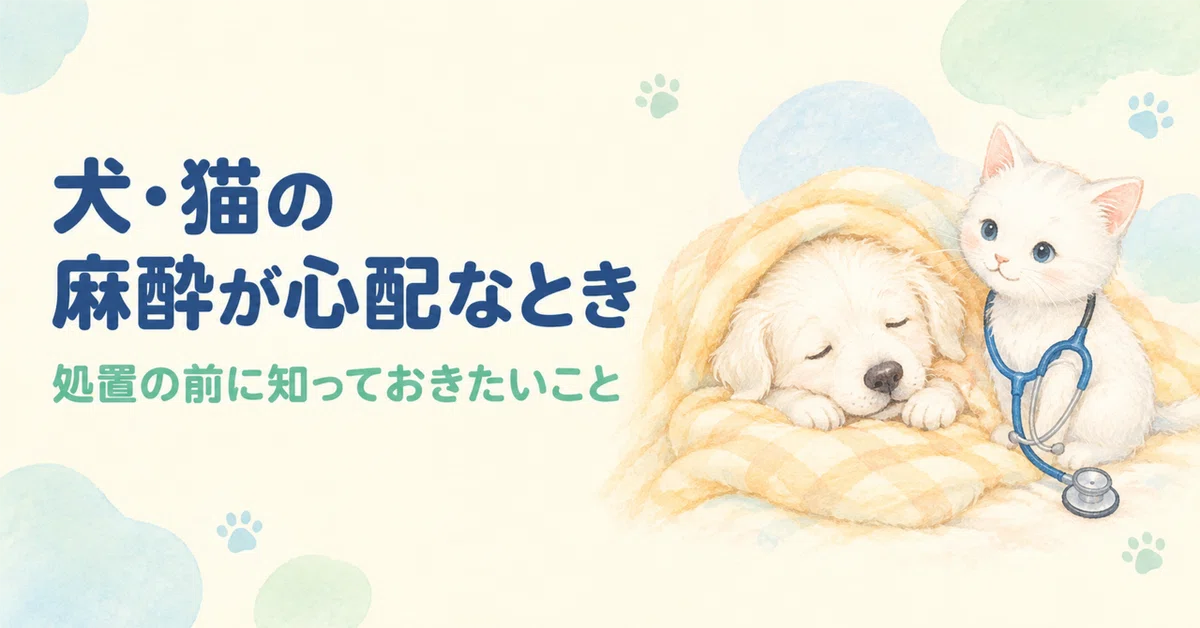 When you are worried about anesthesia for dogs and cats. A veterinarian ...