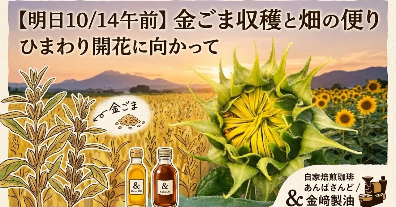 Temporary Closure Tomorrow Morning, 10/14] Harvesting Golden