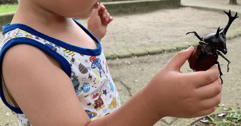 鬼軍曹に育てられた私が語る 厳しい子育て の弊害と効果 Yj フルタイム管理職ママ Note