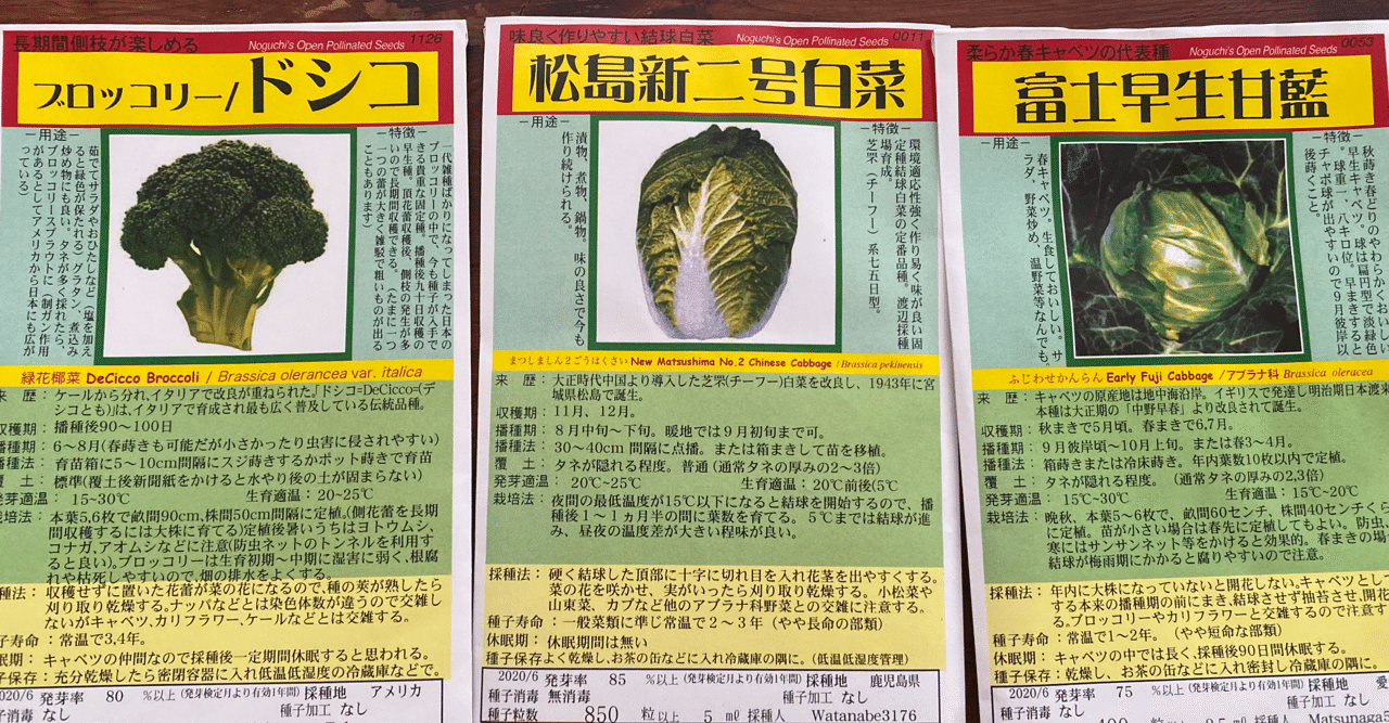 自給自足を目指すなら 採種 にチャレンジしてみよう ひらっち フリーライター 農家の経済自由人 Note