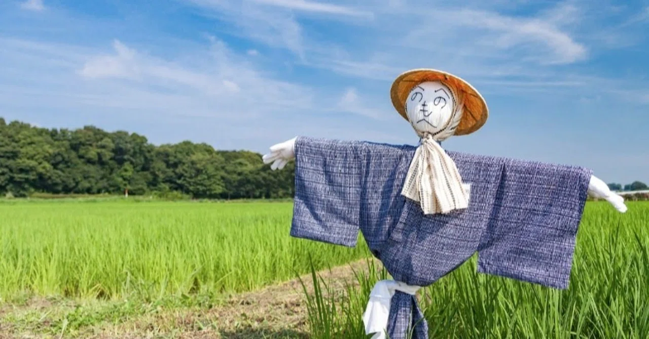 案山子｜サカキシンイチロウ