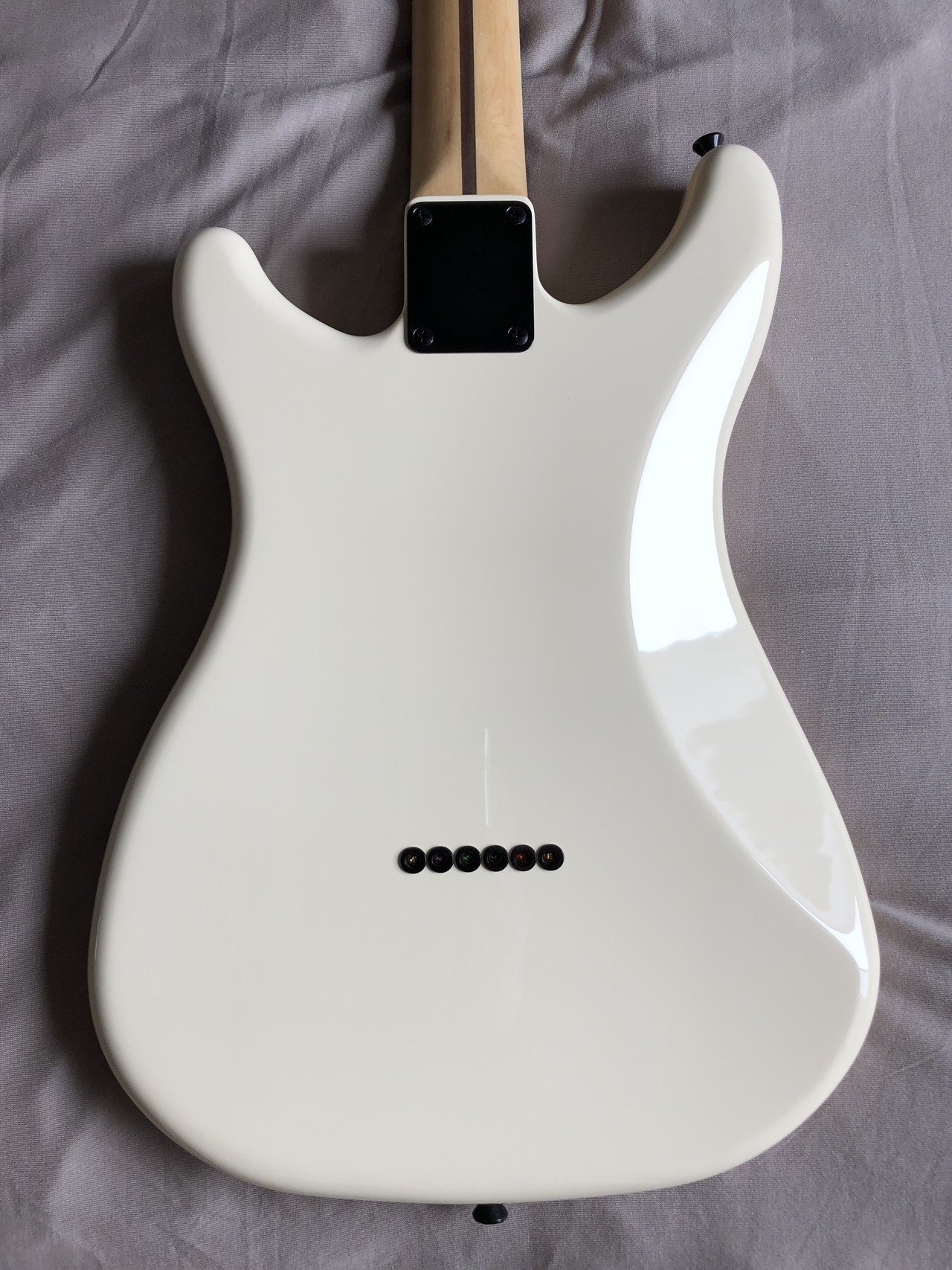 JAKE E. LEE ジェイクEリー KNE guitars製 ギターボディー エレキギター