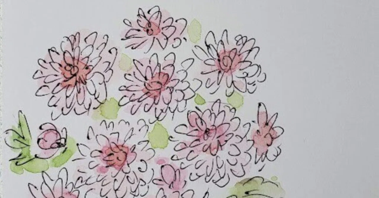 [October 11] Flower 🌸 Cushion Mum (Garden Mum) 🌸 Illustration drawn in ...