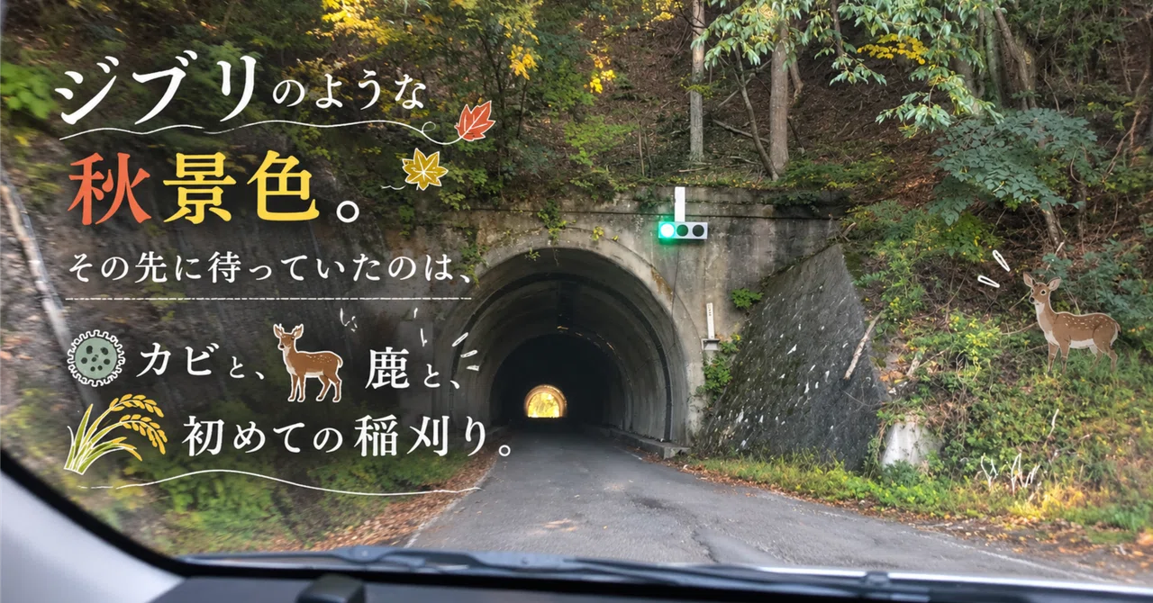 An autumn landscape like something out of Ghibli. What awaited me there ...