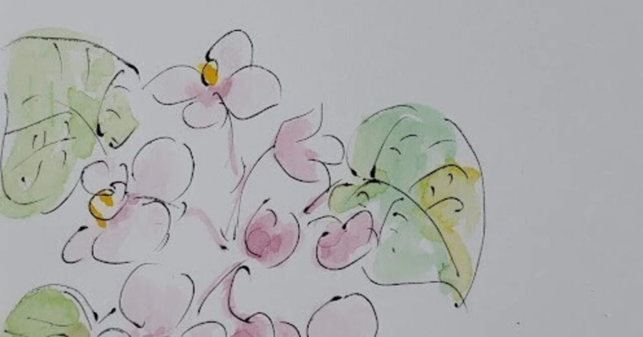 [October 17] Flower 🌸 Yorakuso (Begonia grandis) 🌸 5-minute ...