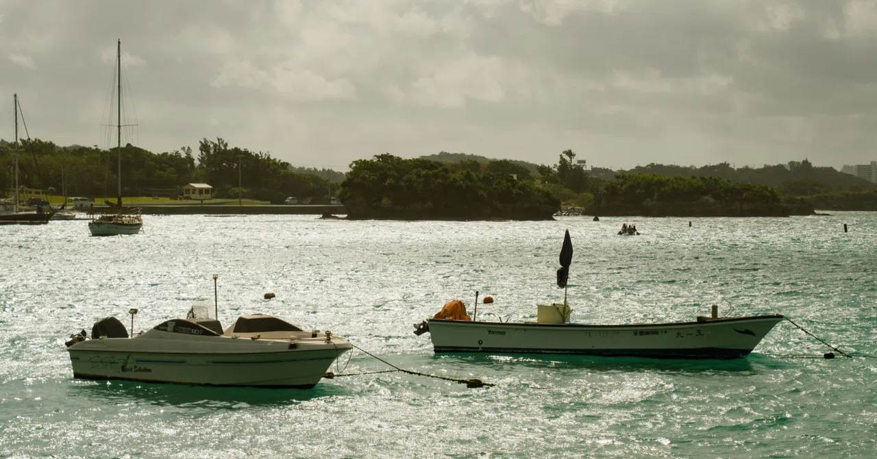 What do coastal vessels carry? | The connection between 'ship types ...