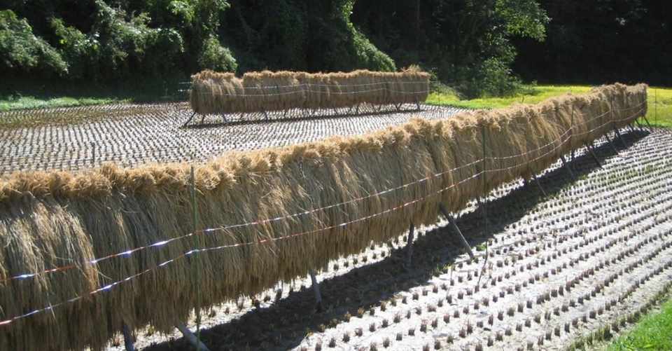 自転車旅行記 06年秋 群馬 長野 軽井沢 小諸など 10 7 10 9 マルーター チャリ旅記録作成中 Note