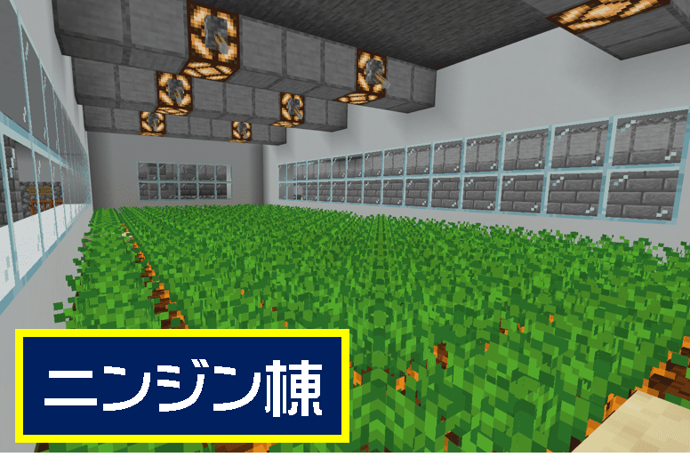 マイクラ 単発 紹介 モルモット研究所 オーリオ Note マイクラ 単発 紹介 モルモット研究所 オーリオ Note