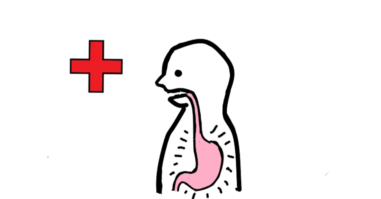 Endoscopy Report for Emetophobia!｜poru