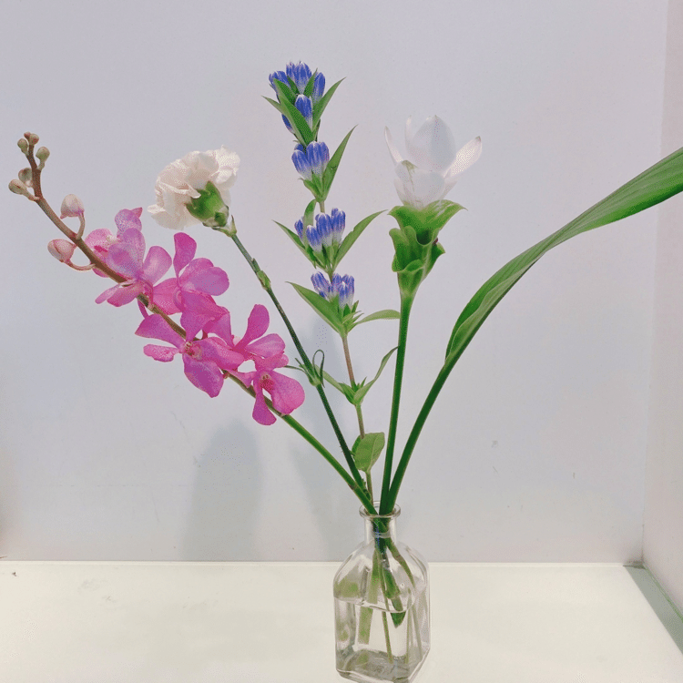 自分へのお祝いのためのお花。
なんばパークスの青山フラワーマーケットで購入しました。
お花を抱えながら、最寄り駅まで電車に揺られている時間がとても好きです。
