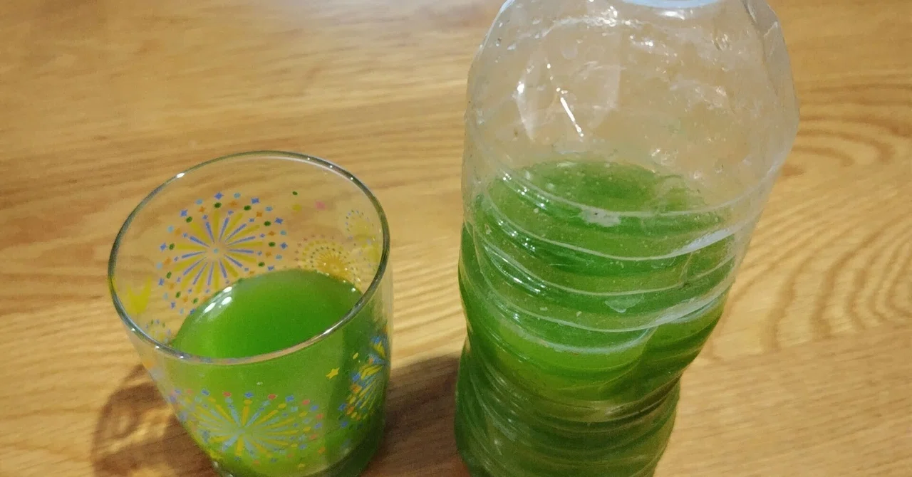Making Pine Juice with Red Pine from the Garden ──Gulp Down the Freshly ...