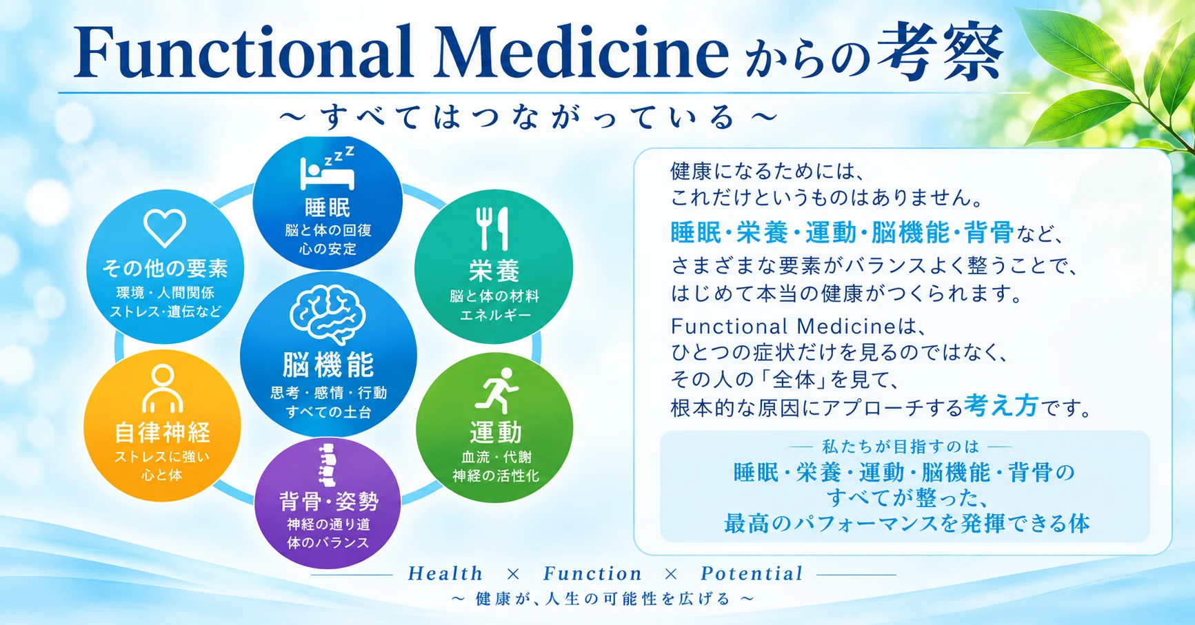 On the Brain and Posture｜All for Brain すべては脳のために
