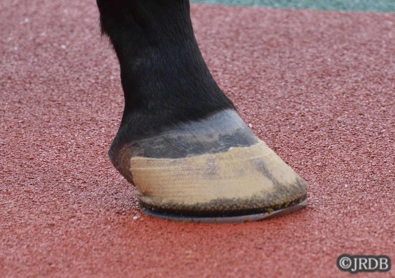蹄鉄図鑑 ～シガフース蹄鉄～｜JRDB 競馬アラカルト