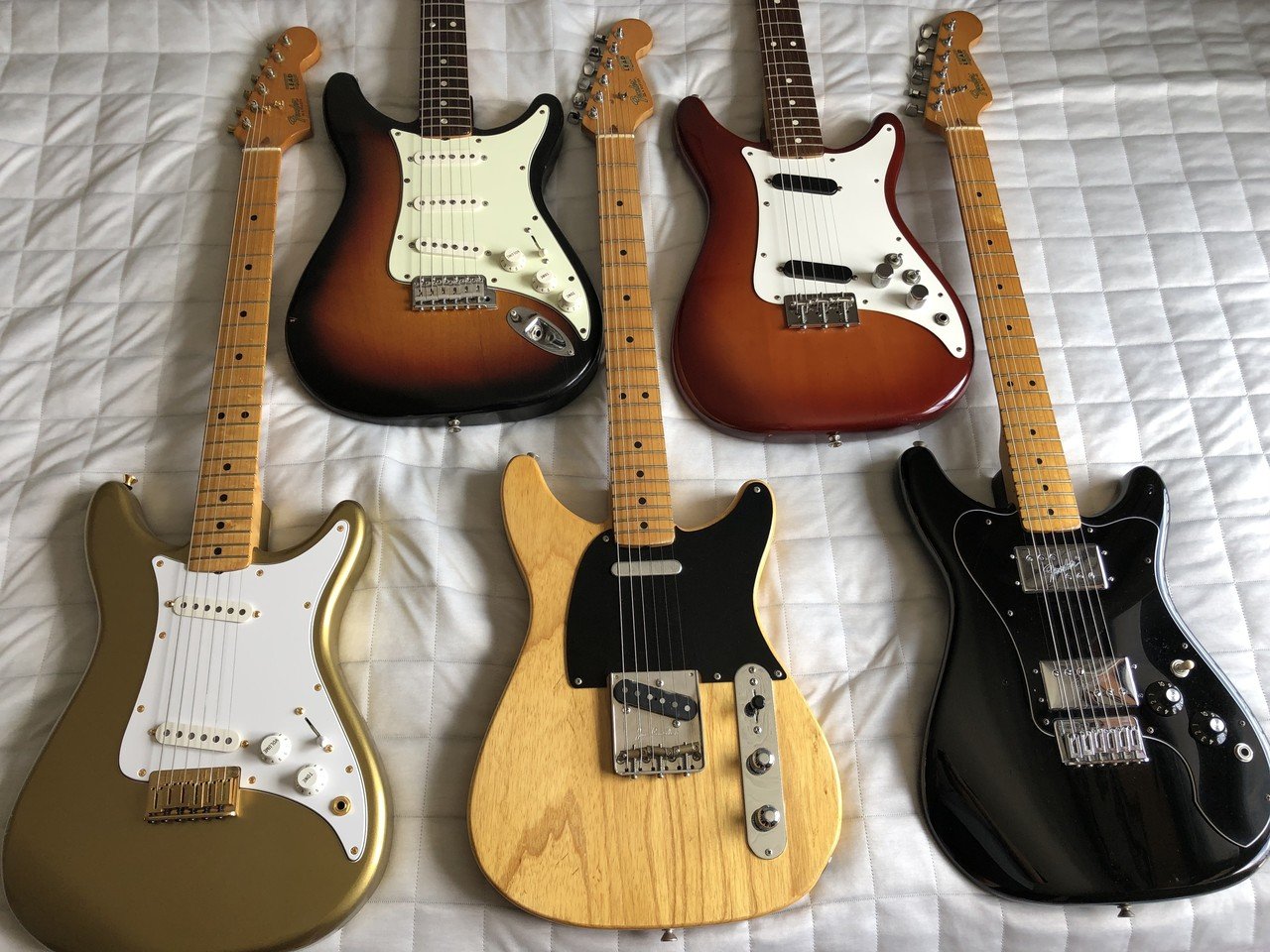 Fender （フェンダー） /ベルト(帯革・胴締・バンド)/F-HC05 32