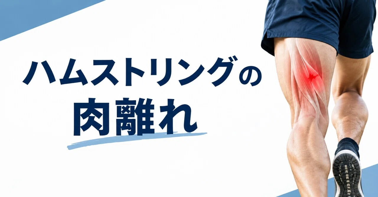 About Hamstring Strains｜Hrk｜ Jリーグ観る理学療法士